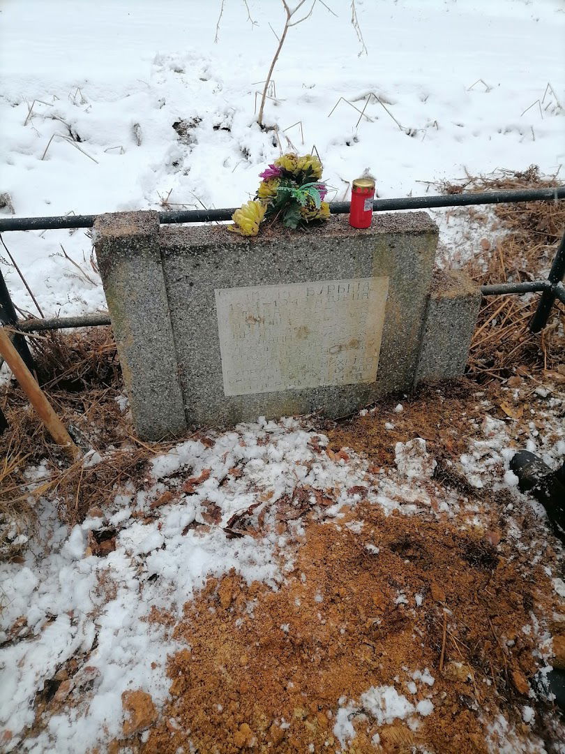 Groblje Barin Kosa, Radonja