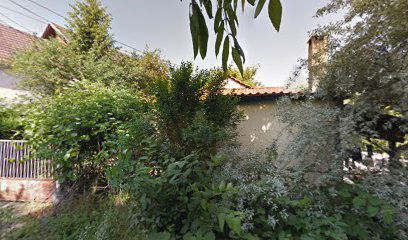 Auto Taxi Dragan Nerandzic Preduzetnik Beograd (Zvezdara)