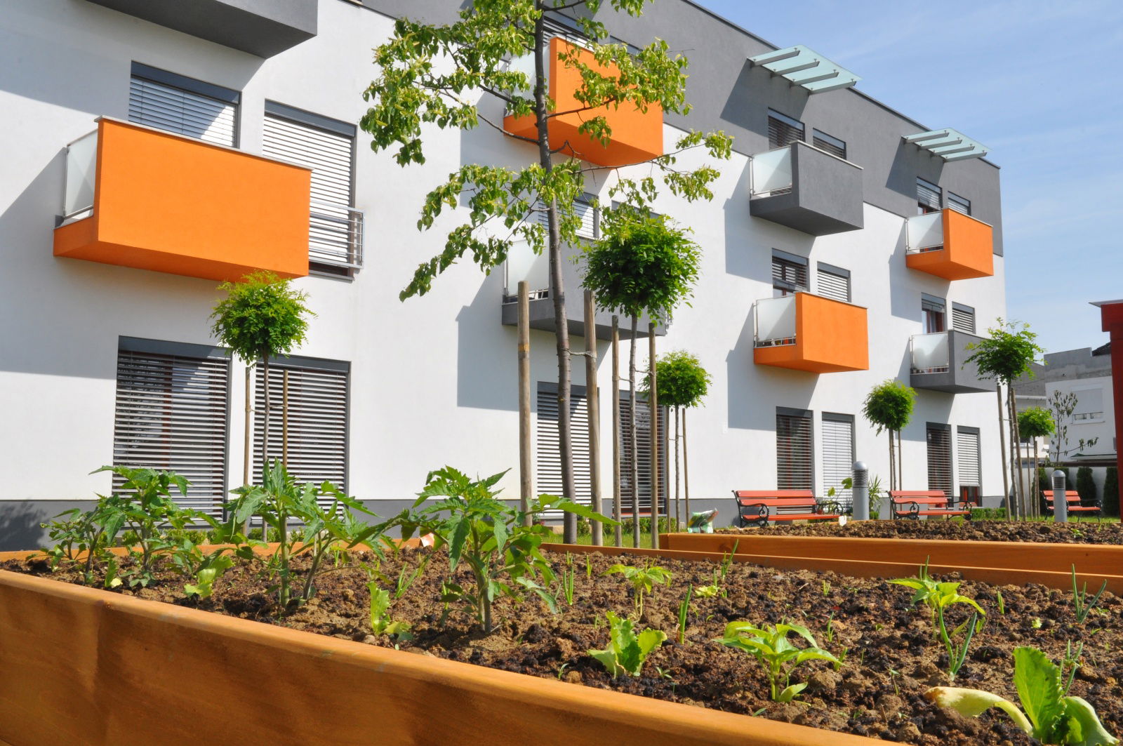 Dom za starije i nemoćne osobe Novinščak