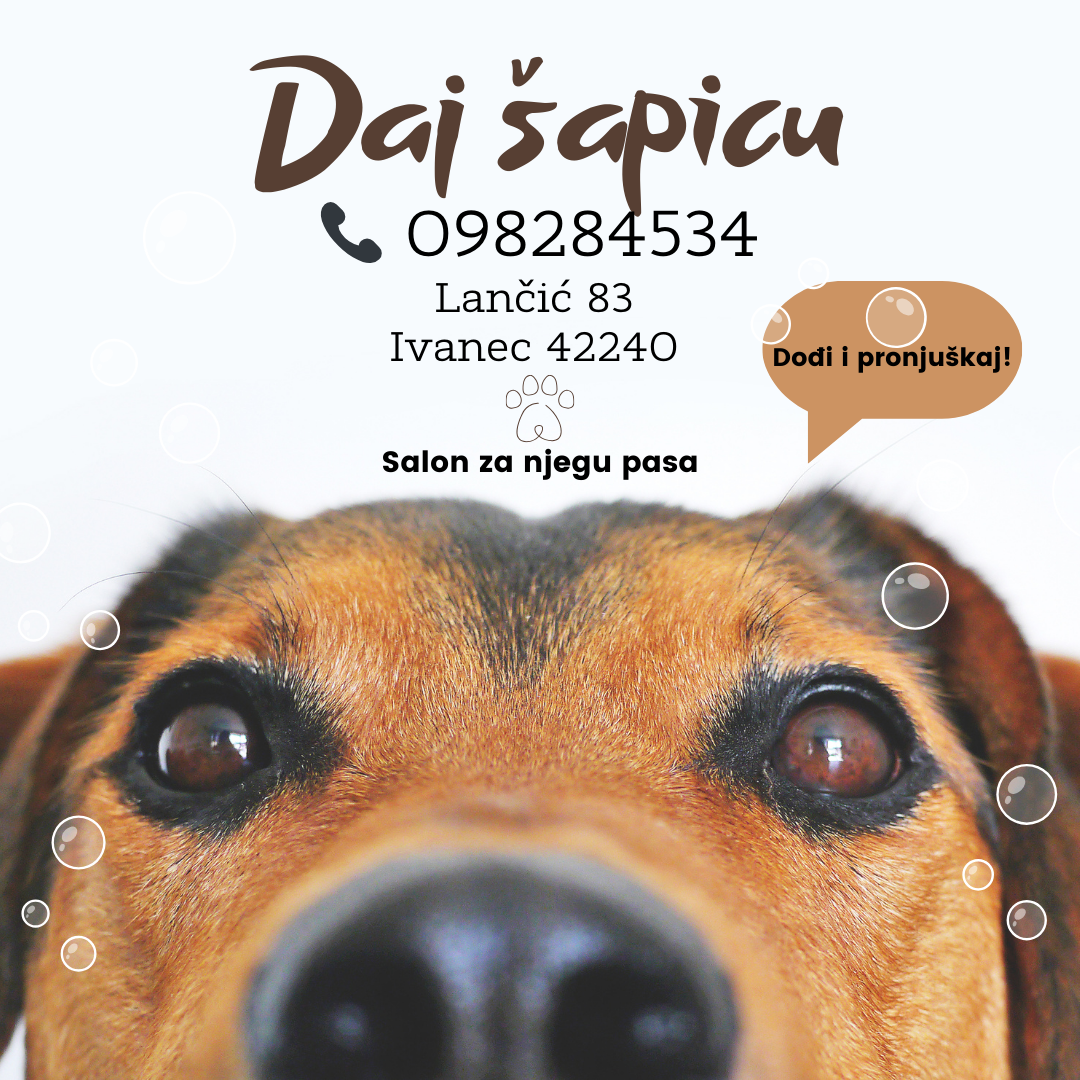 Daj šapicu - salon za šišanje i njegu pasa