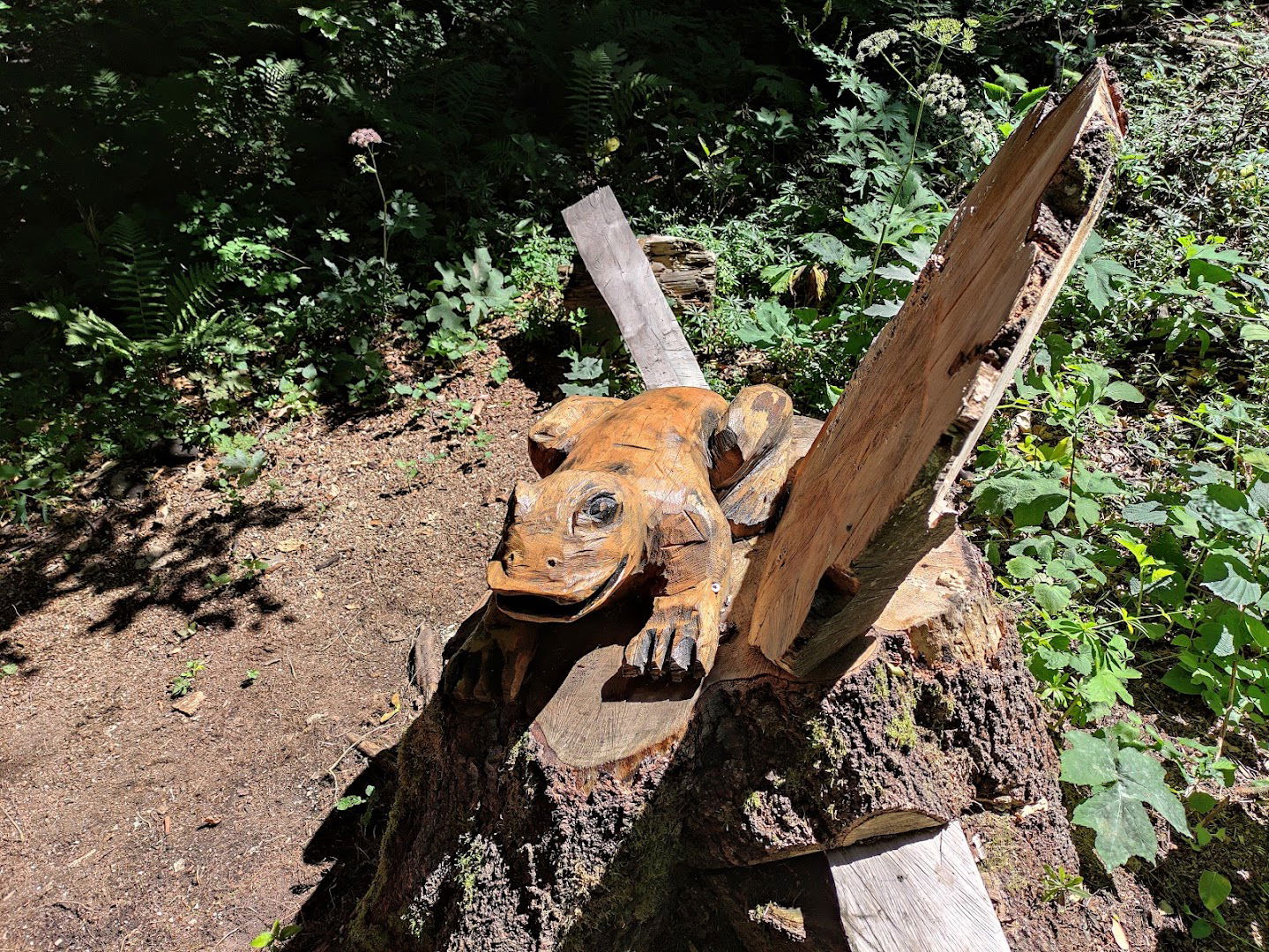 Žaba na stazi Mrzljak