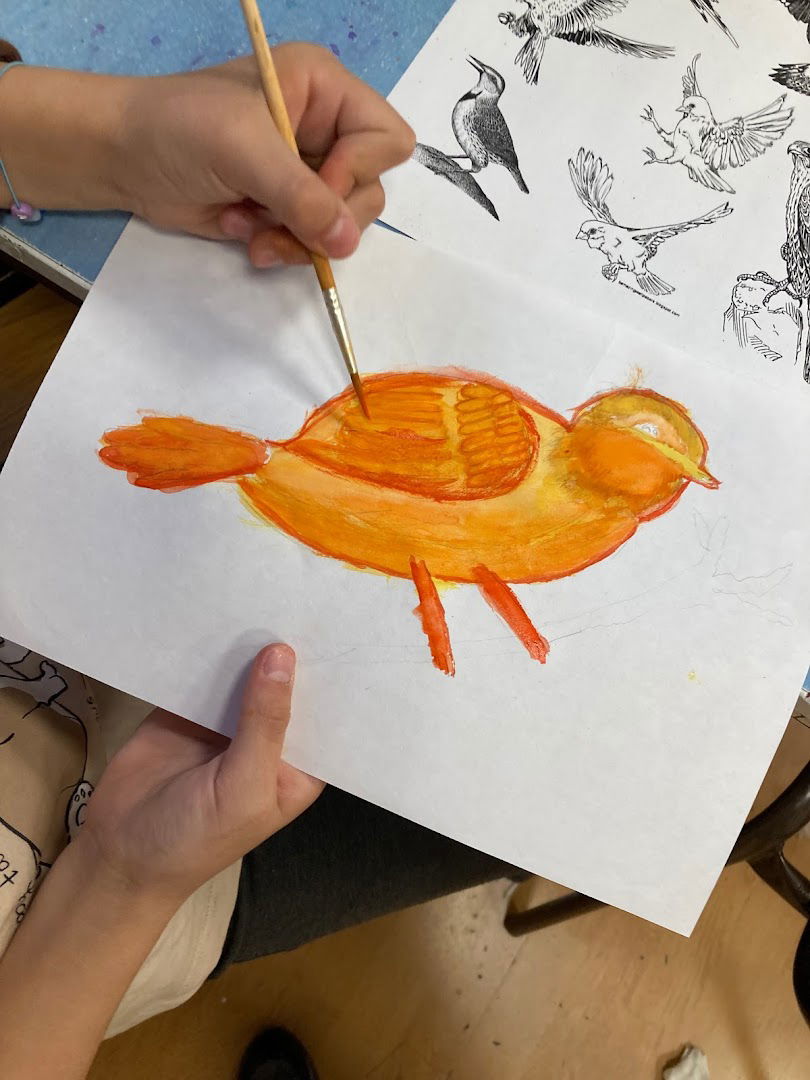 Skola crtanja i slikanja - MALI REMBRANT