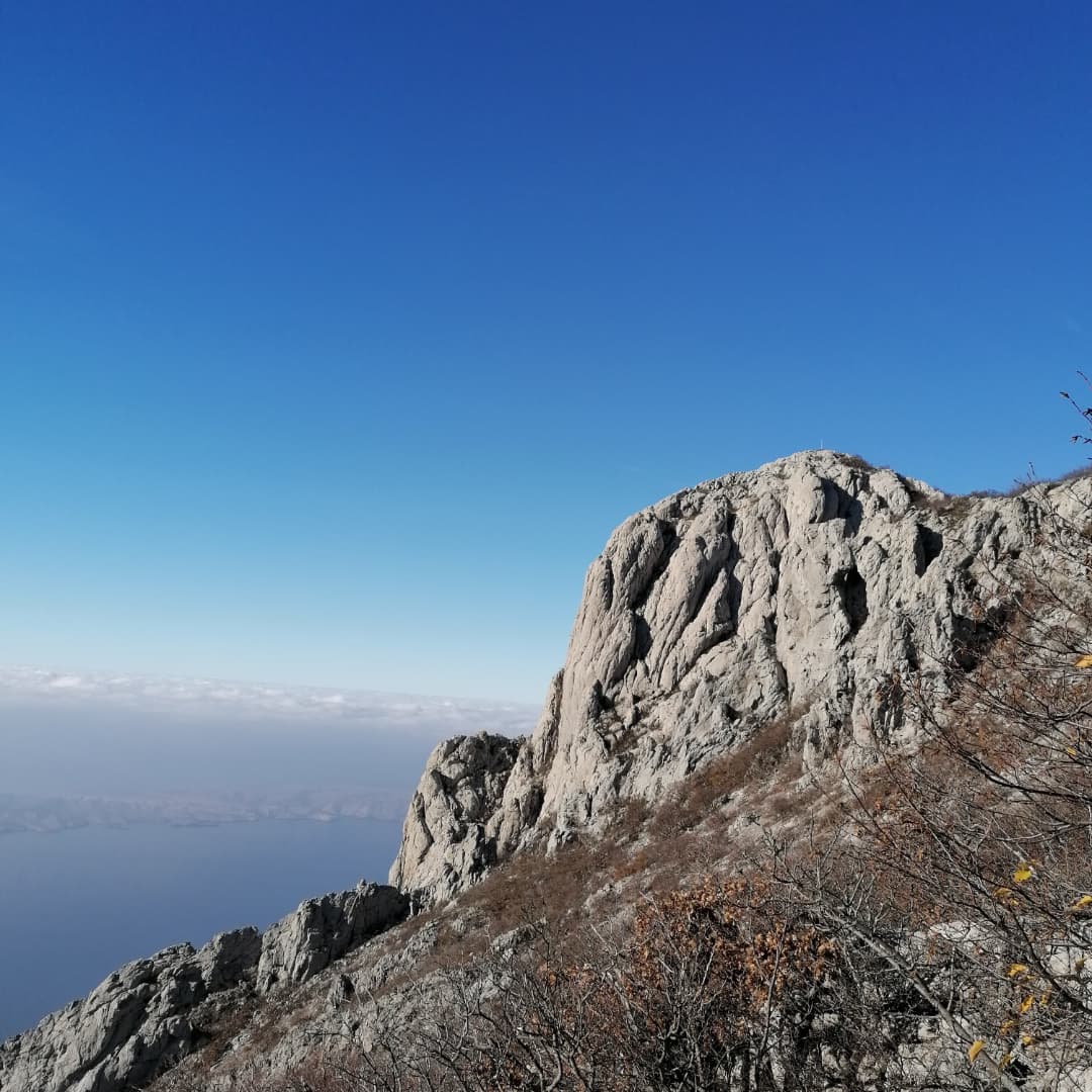 Ledenik Cesarički cemetery