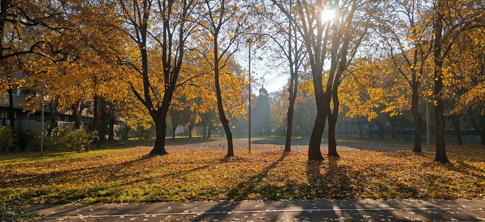 Студентска А