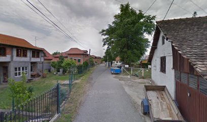 Auto Service Ledine NBG