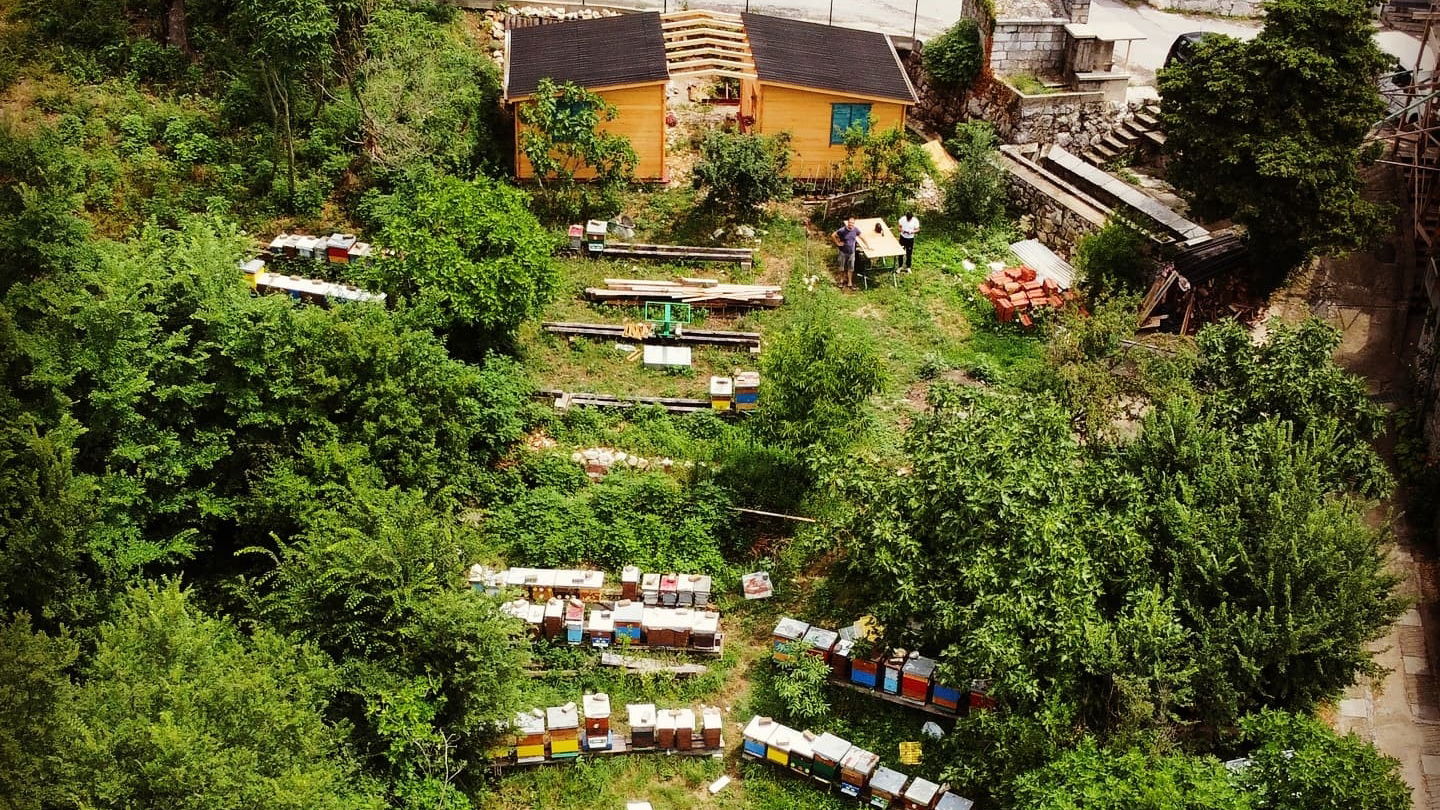 OPG Pčelarstvo Marinović