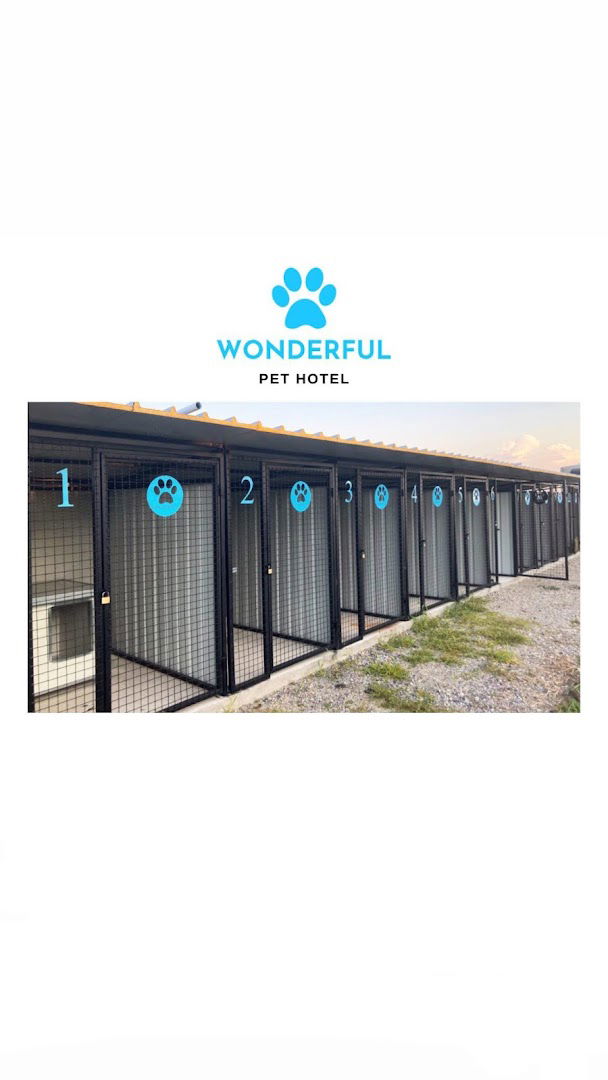 WONDERFUL PET HOTEL