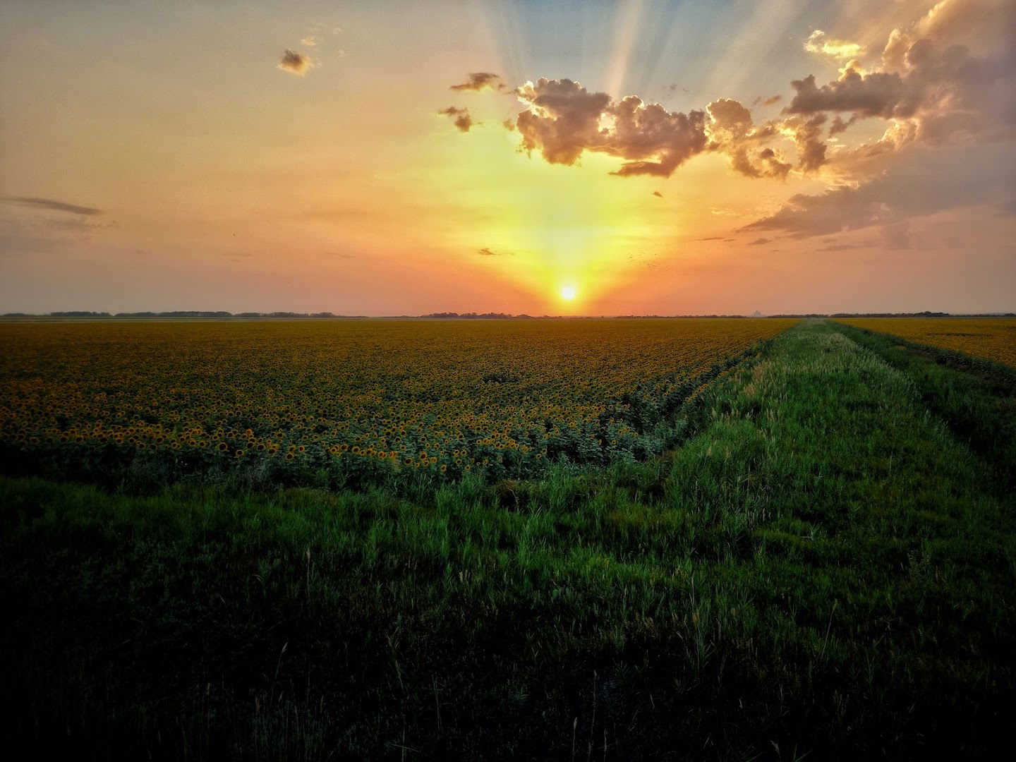 Lovačka čeka "30ta"