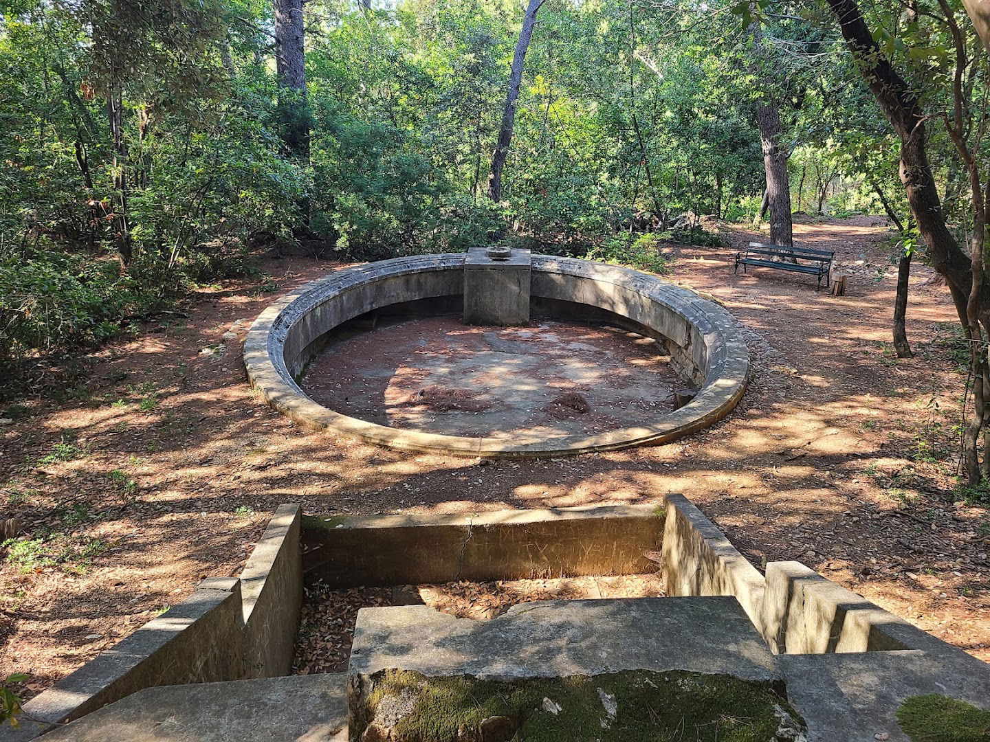 Charlotte's Well
