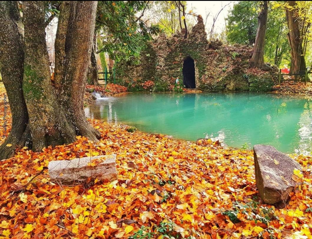 Azienda Agricola e Fattoria MELERETUM