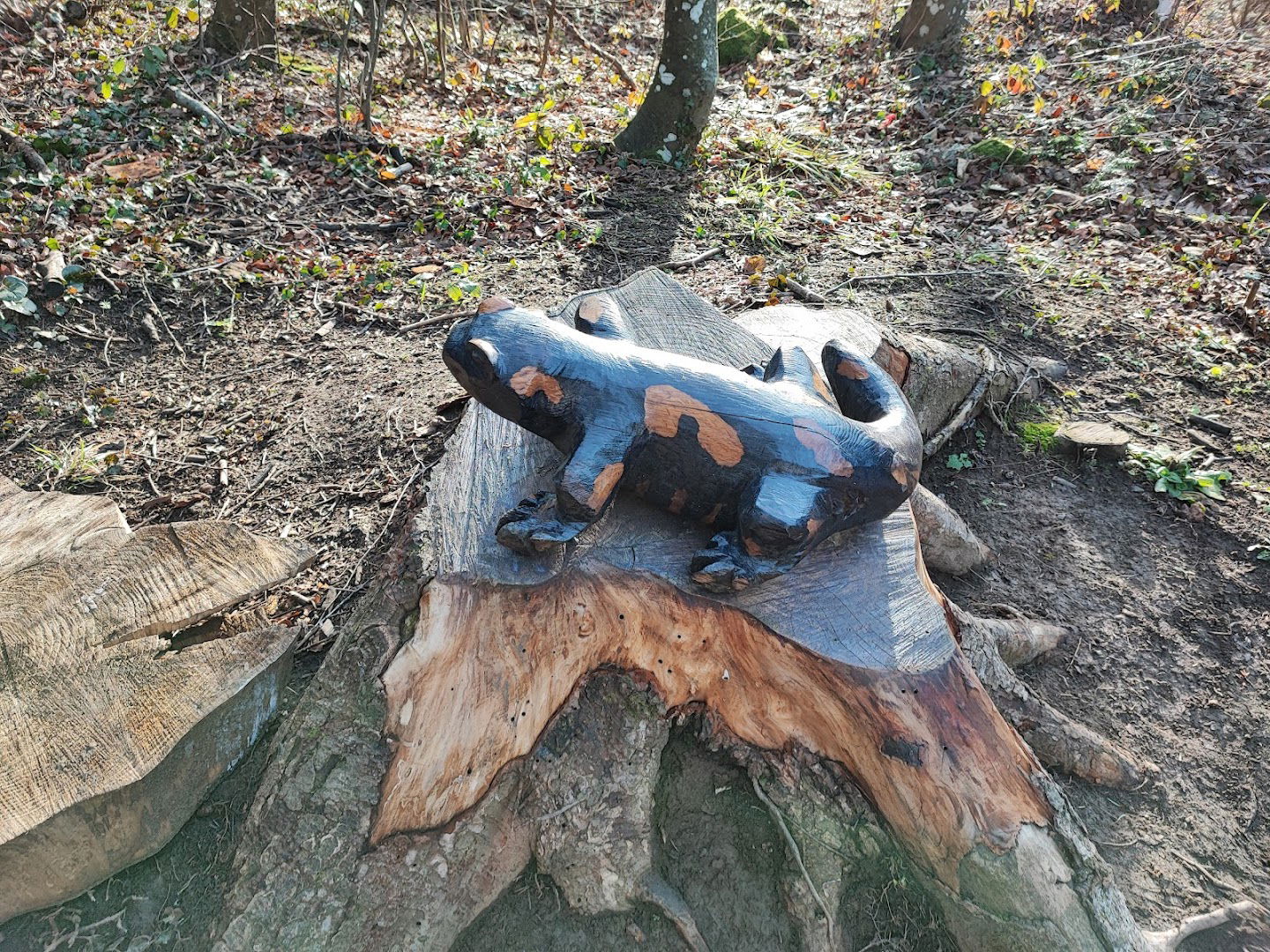 Daždevnjak na stazi Mrzljak