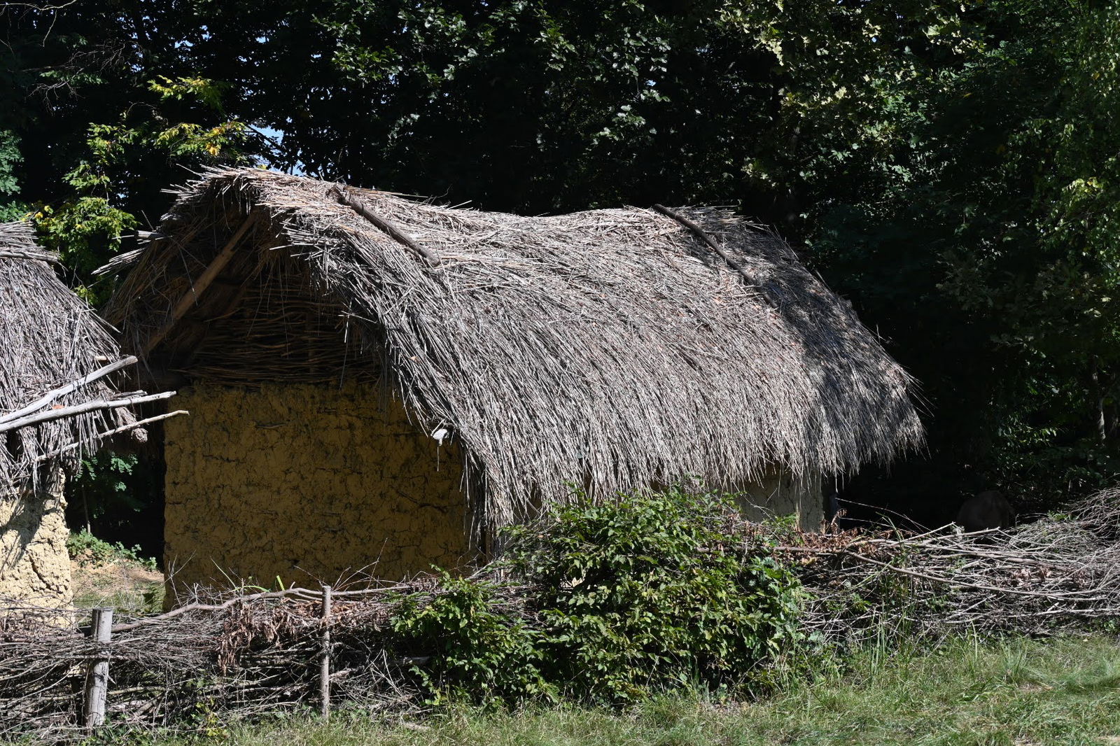 Prazgodovinska naselbina Gradišče