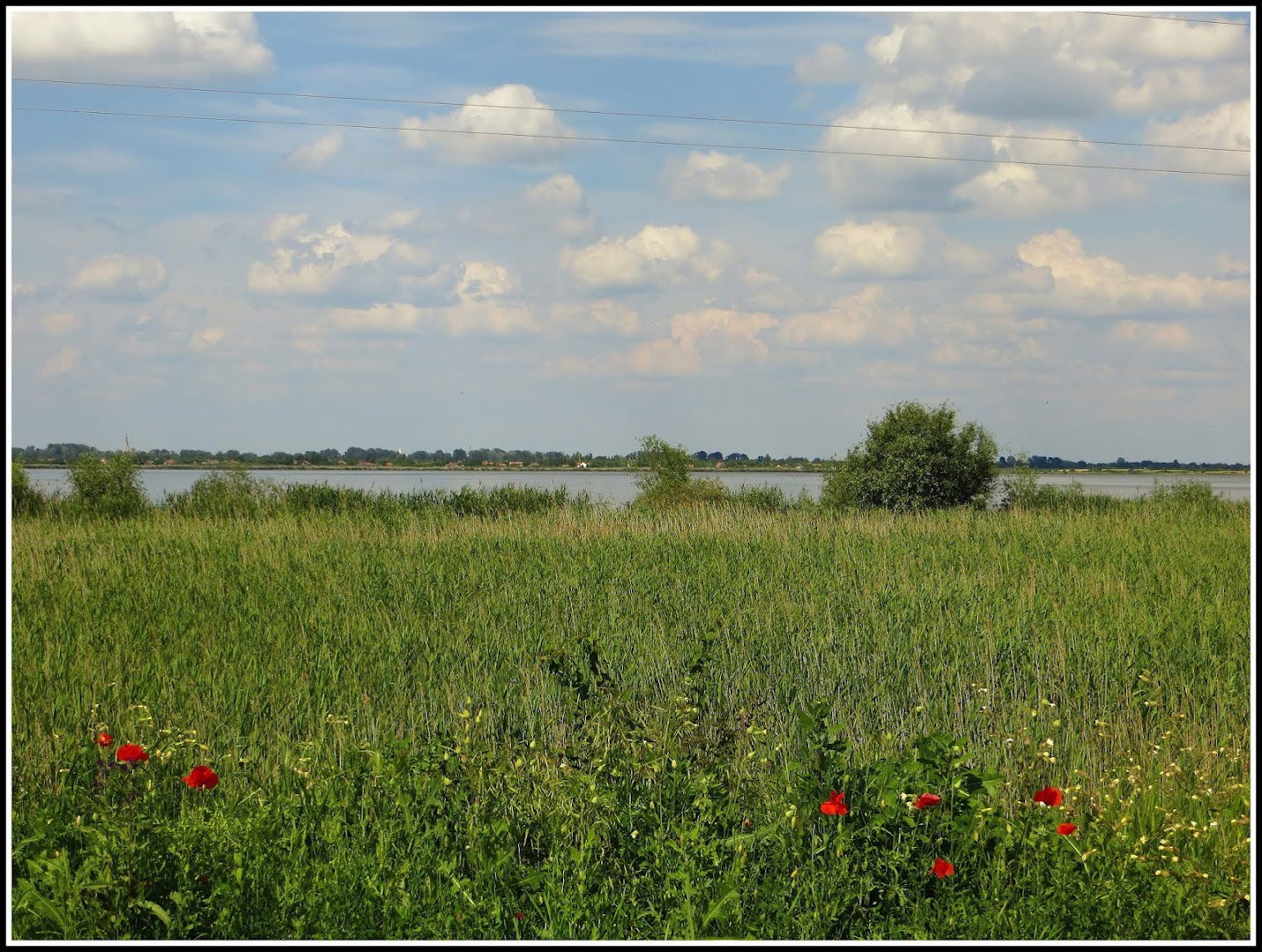 Рибарско газдинство ,,Ечка" ад