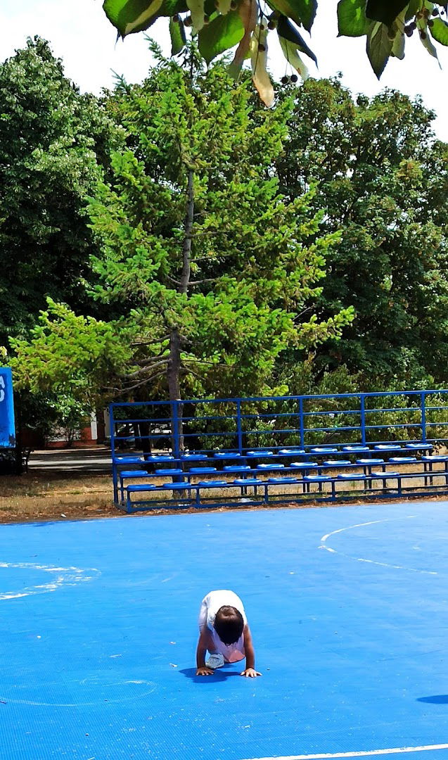 Basketball court 'Nemanja Bjelica'