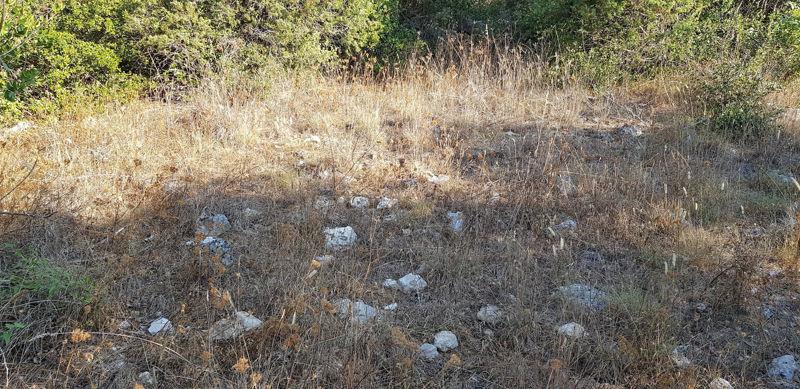 Arheološko nalazište Vranjevo Selo