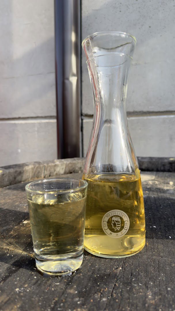 Zadruga Dolga Krona - Dolina, Dolina 528