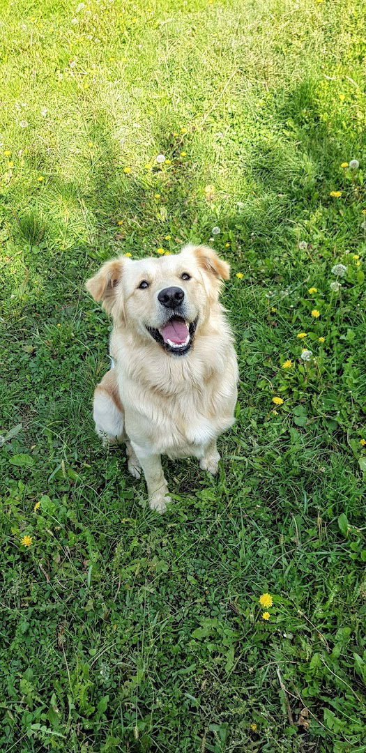 VETERINARSKA STANICA d.o.o.