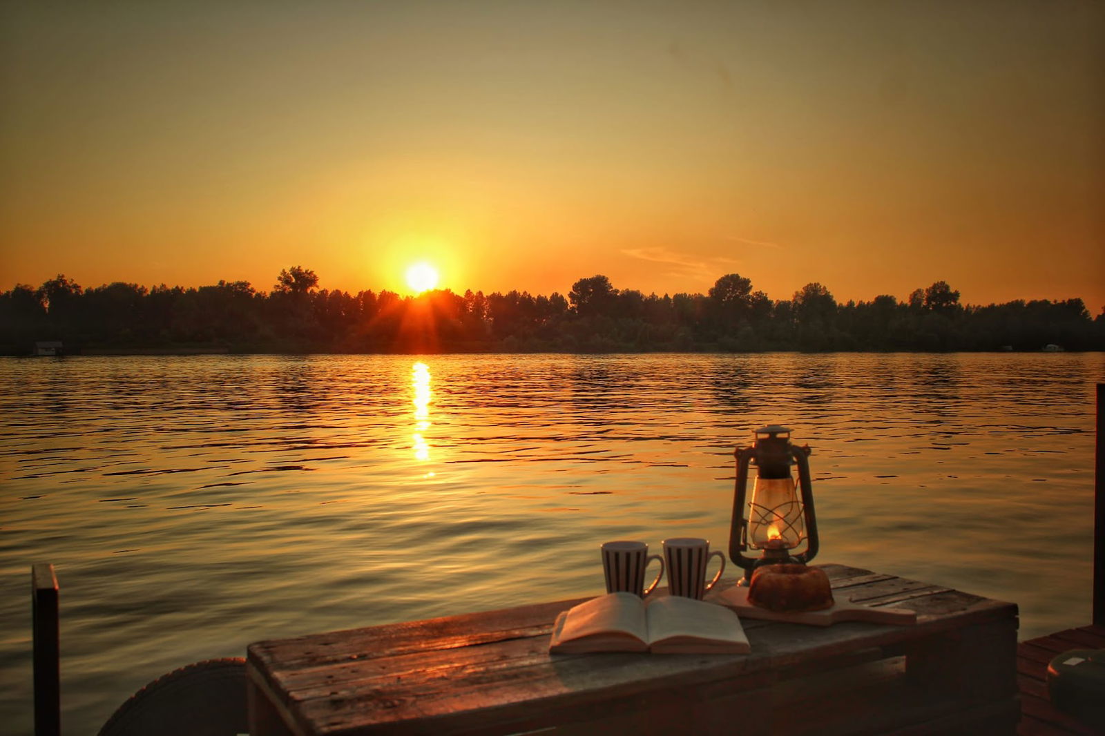 Kuca i splav na reci Savi