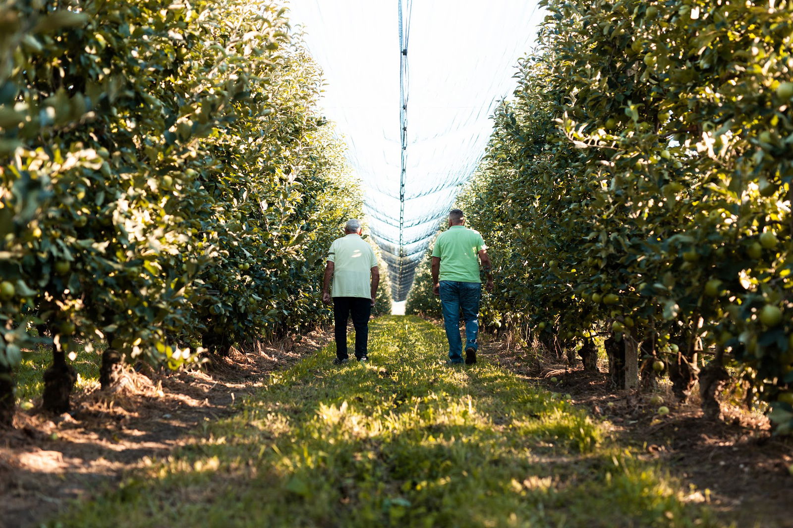 Melamè • Azienda Agricola Turco Paolo
