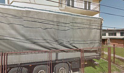 PU Kung Fu Panda 3 - Tigrica