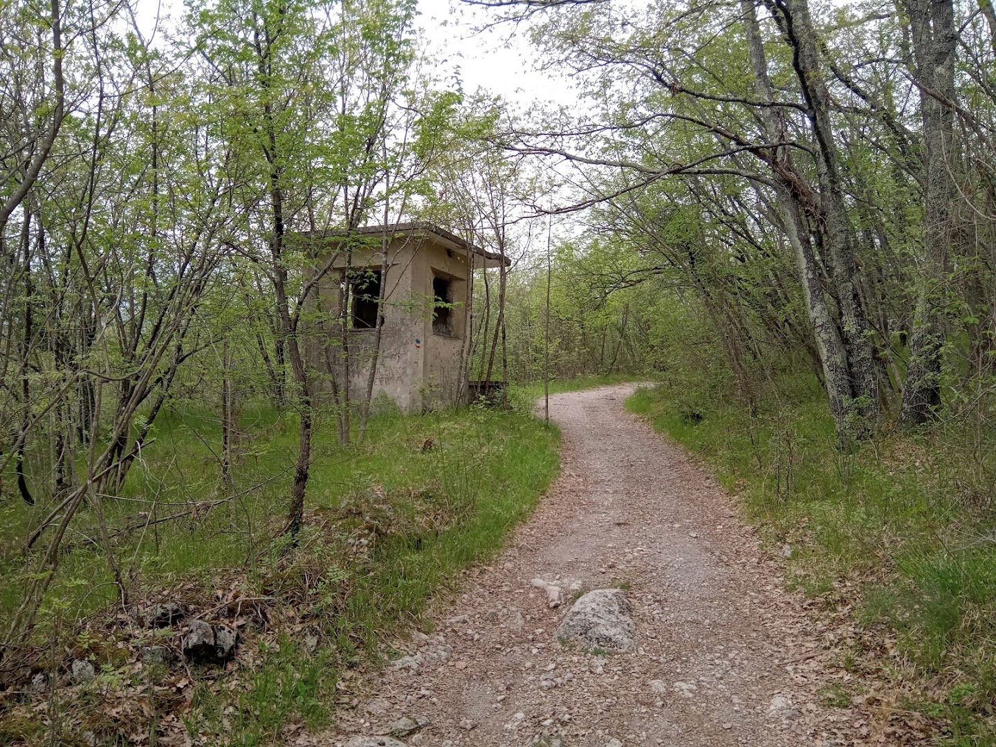 Rapalska granica I/ex.YU