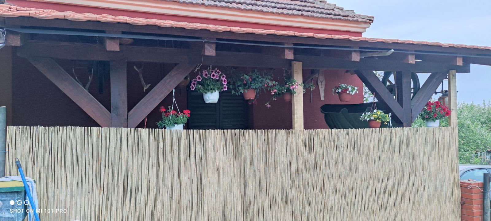 Trska za ograde - Inđija