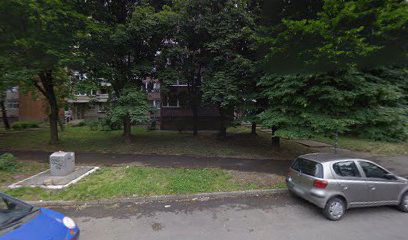 Radovana Simica Cige 21