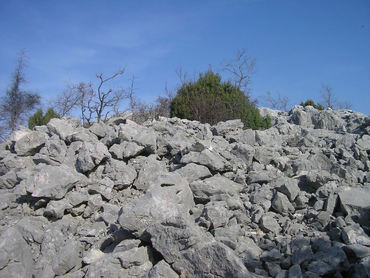 Velika Mitruša (ilirska gradina)