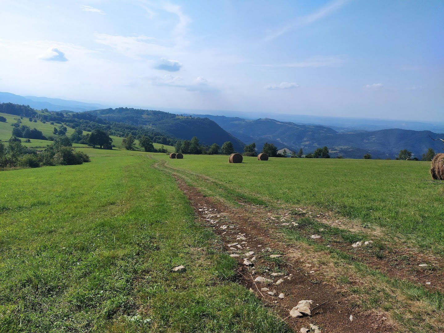 Peak Grukovica 848 m,mountain Suvobor