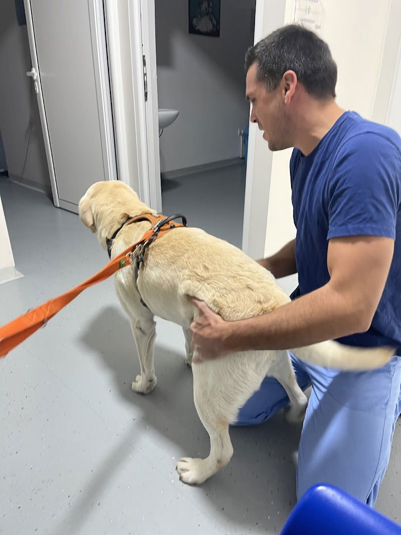 Veterinarska Klinika Novak