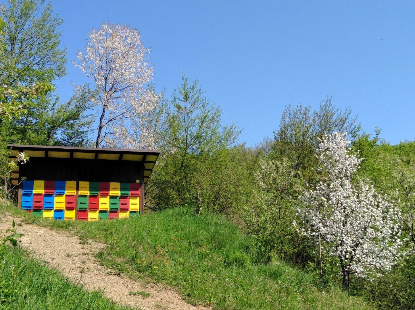 Čebelarstvo Vukalič