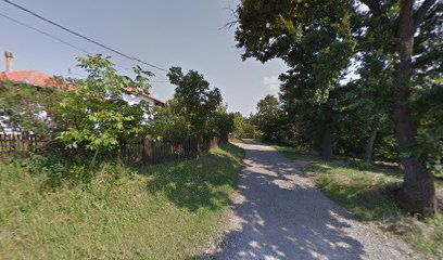 Srednji kraj - Šuma