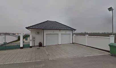 Seka Aleksić's Villa