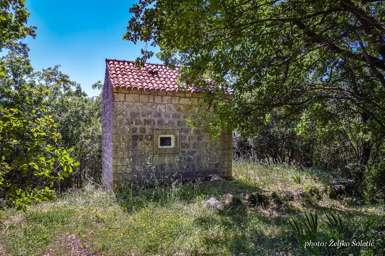 Crurch of St. Lawrence