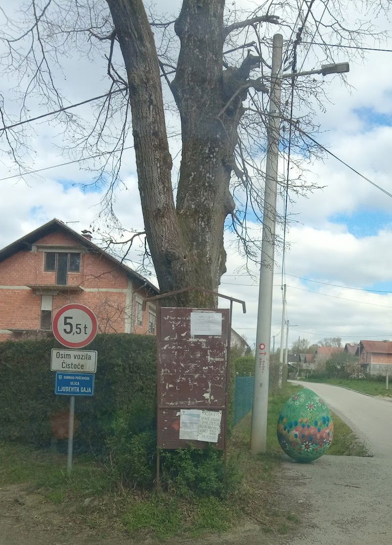 Oglasna ploča - Pisanica!