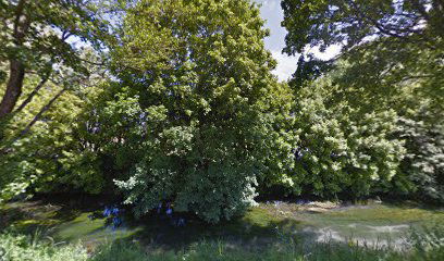 La Cisile Societa' Cooperativa Sociale Onlus