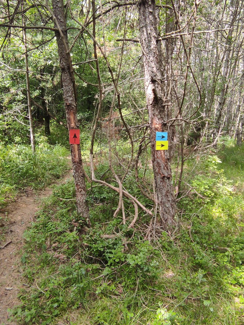 Izgubljena ovca - mountainbike course