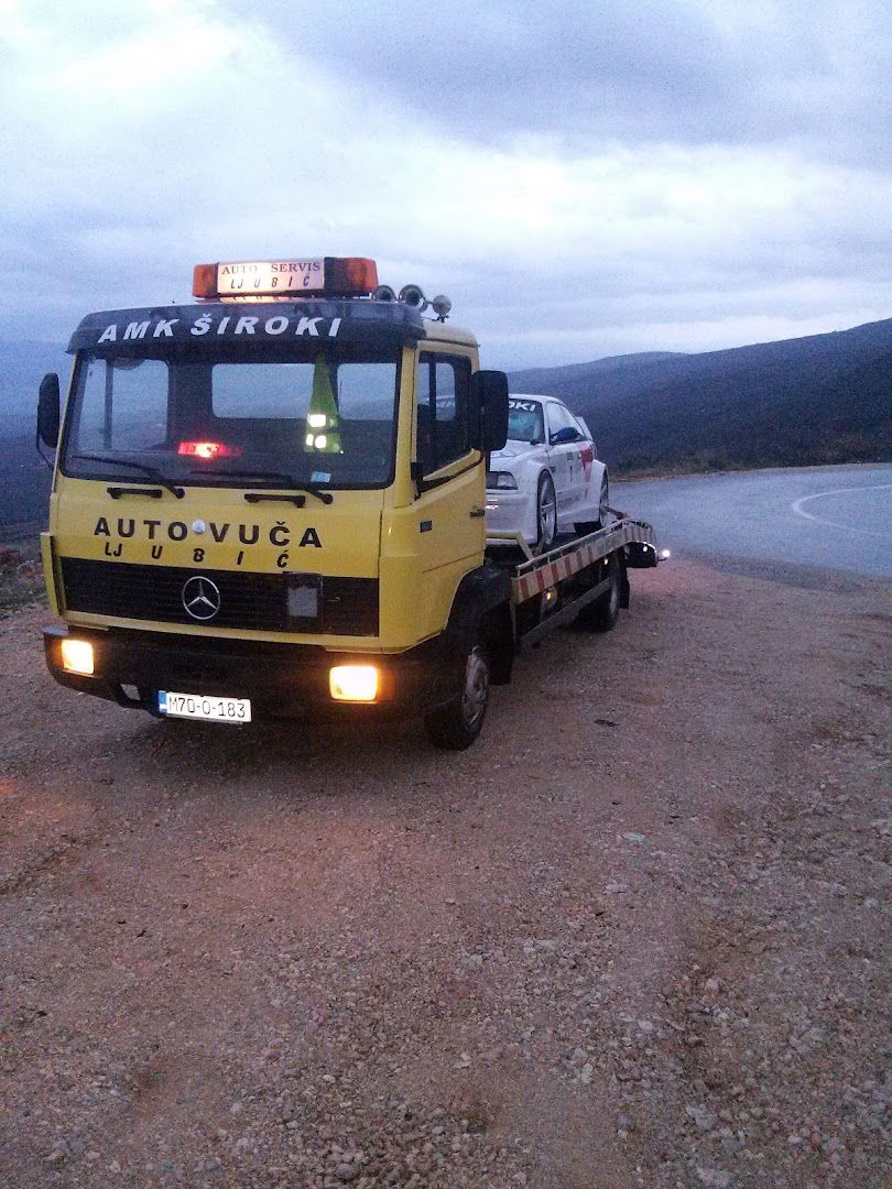 Auto Servis Ljubic