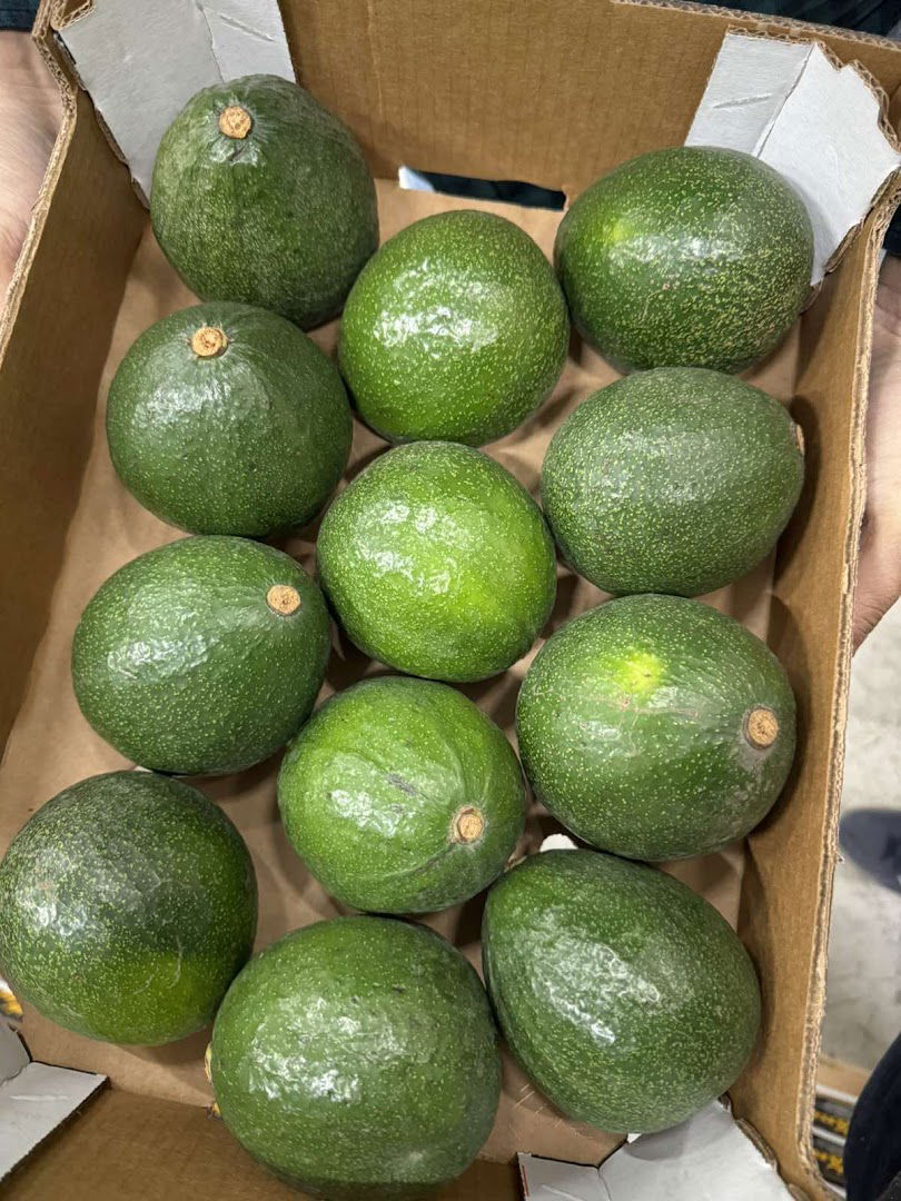 Fresko Export Import d.o.o