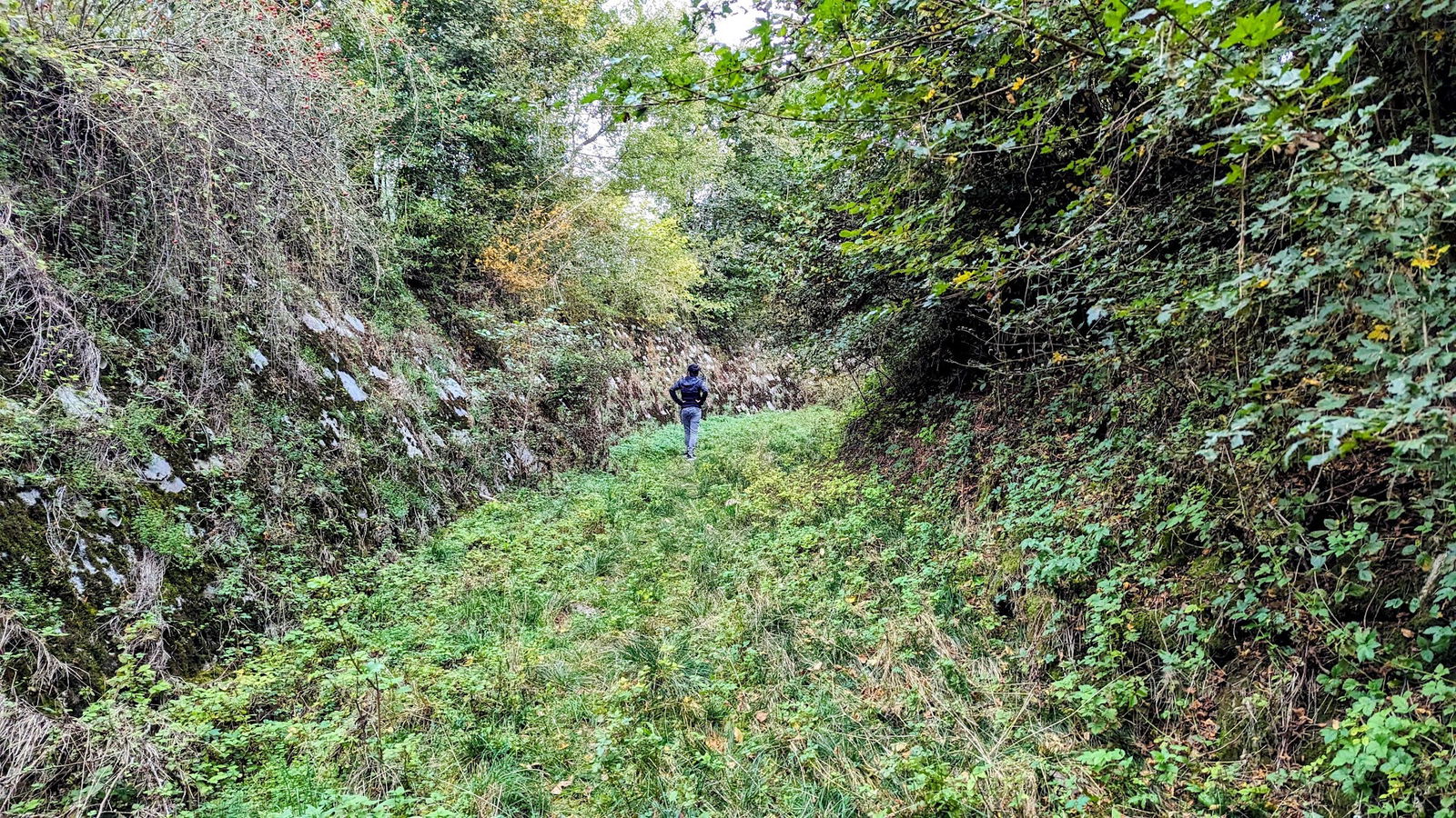 Golobina požiralnik (swallow-hole)