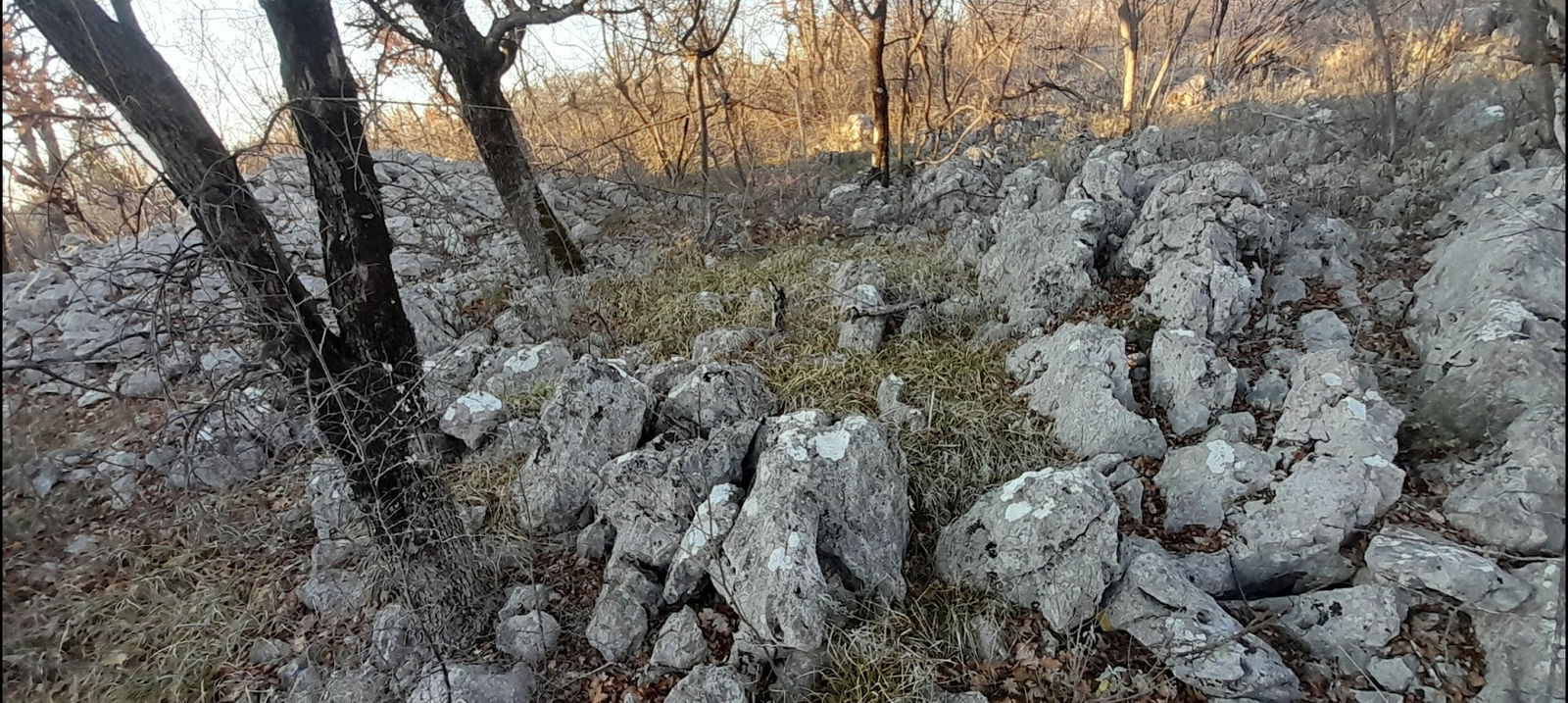 Mirangrad (Pudarevo Ilirsko naselje)