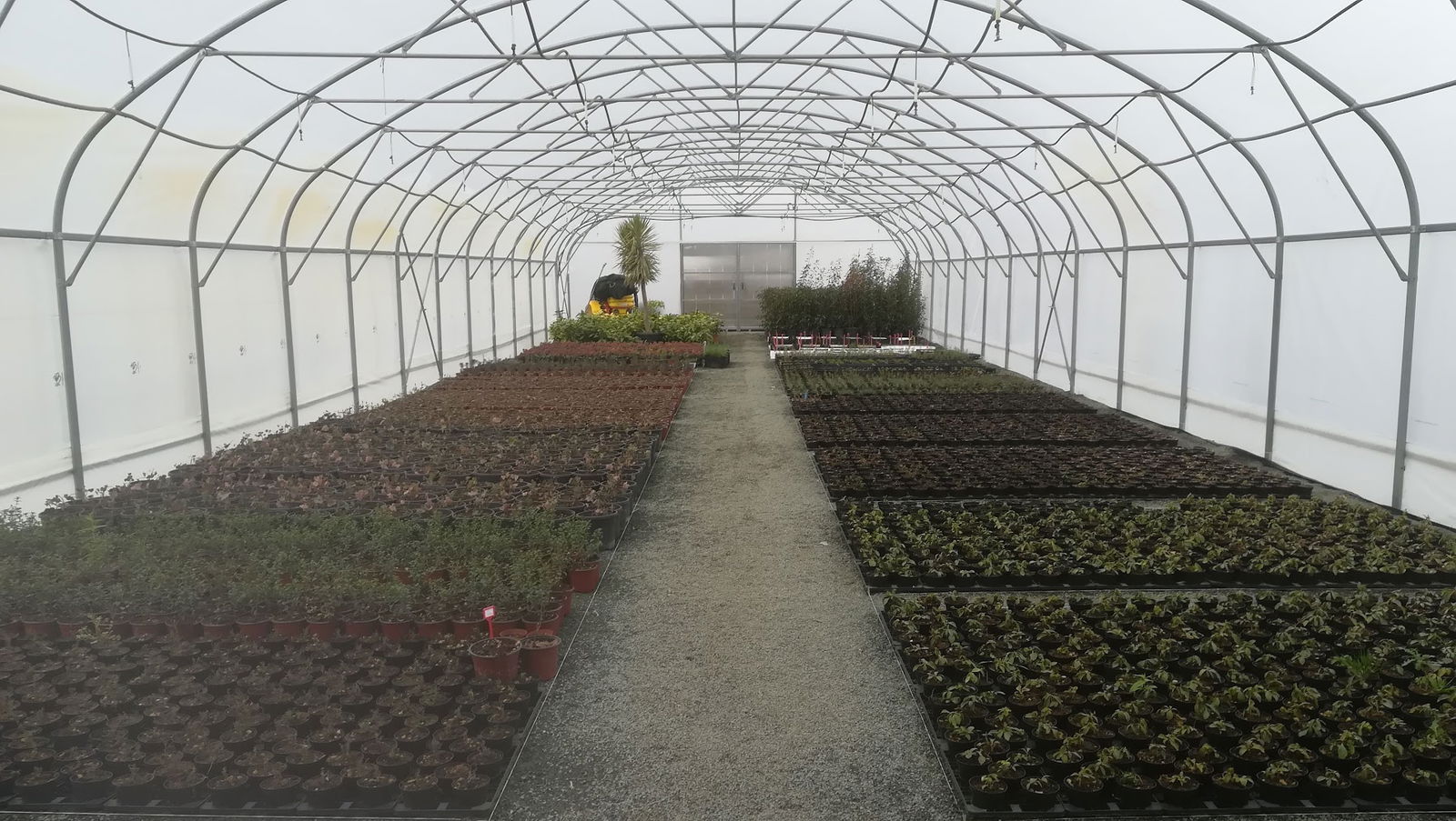 Rasadnik "PLANTARIUM"