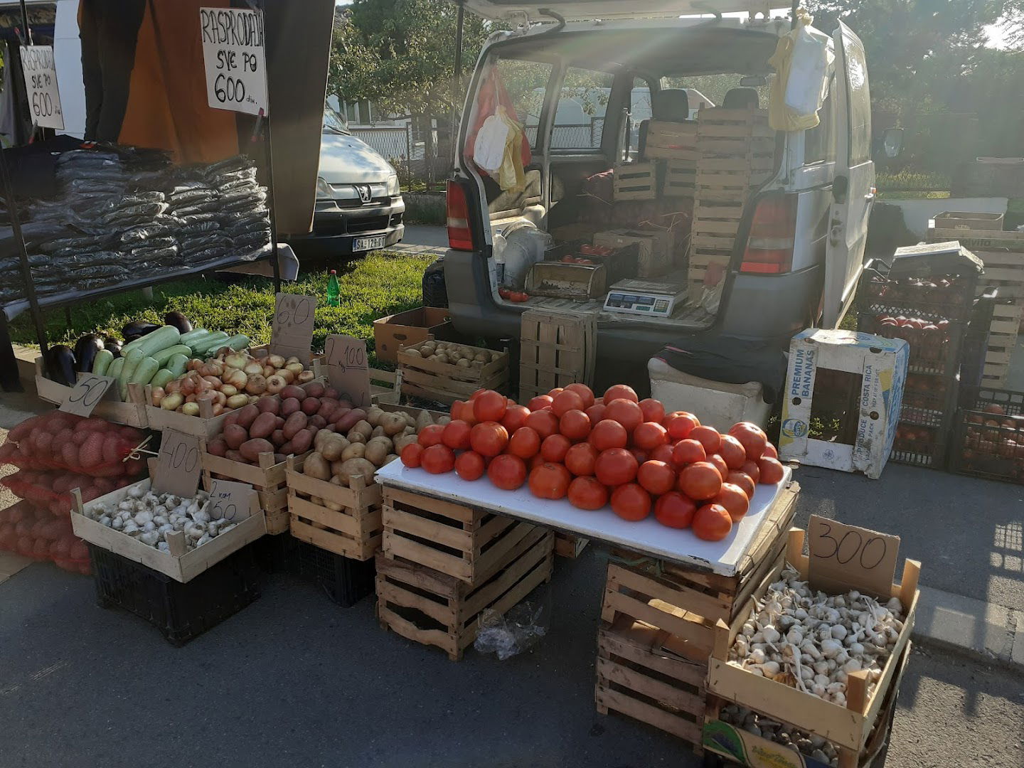 Surčin Market