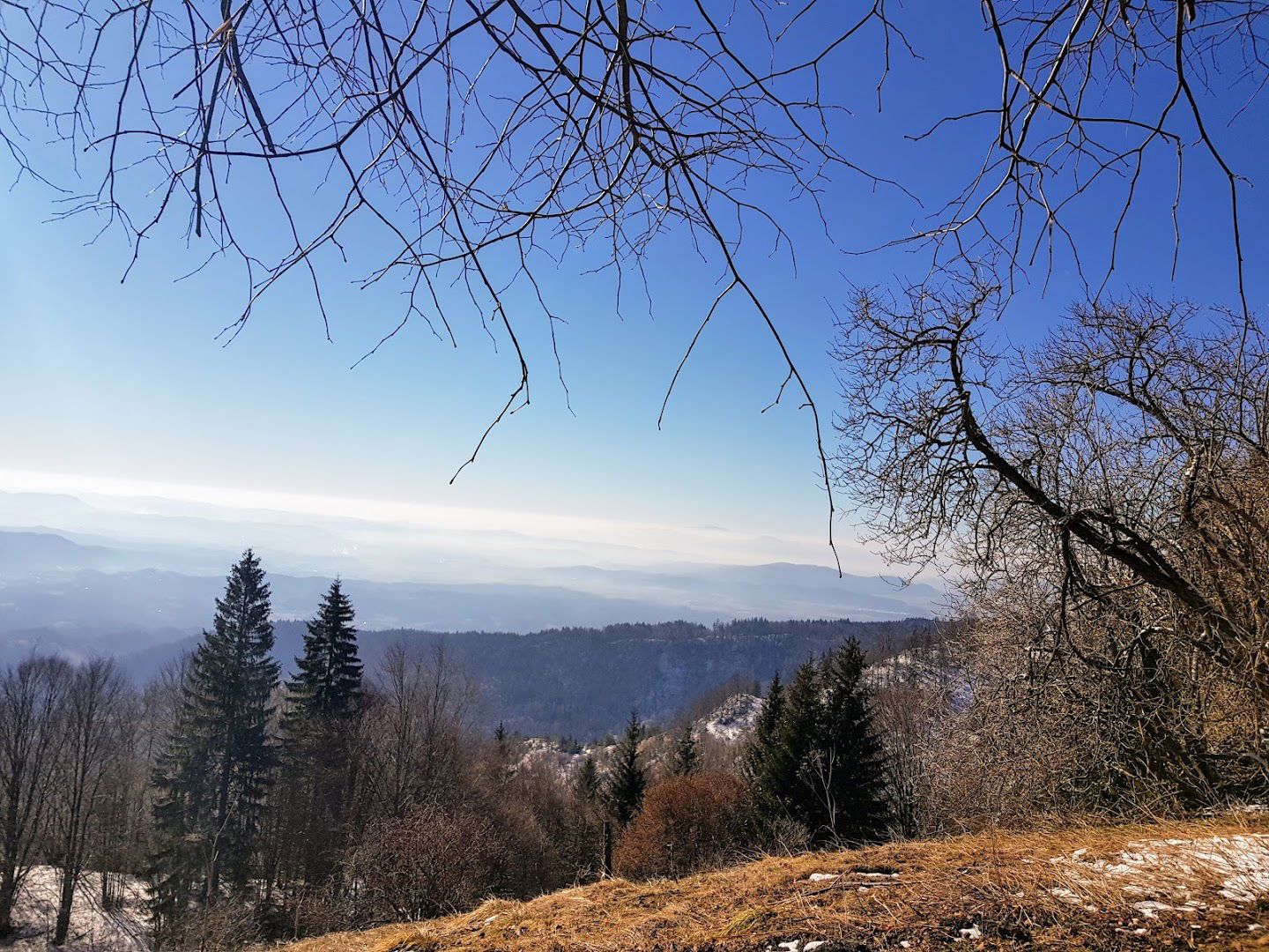 Planina Osredek