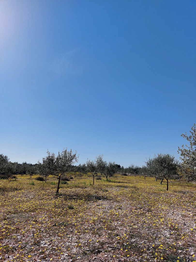 Biciklistička staza