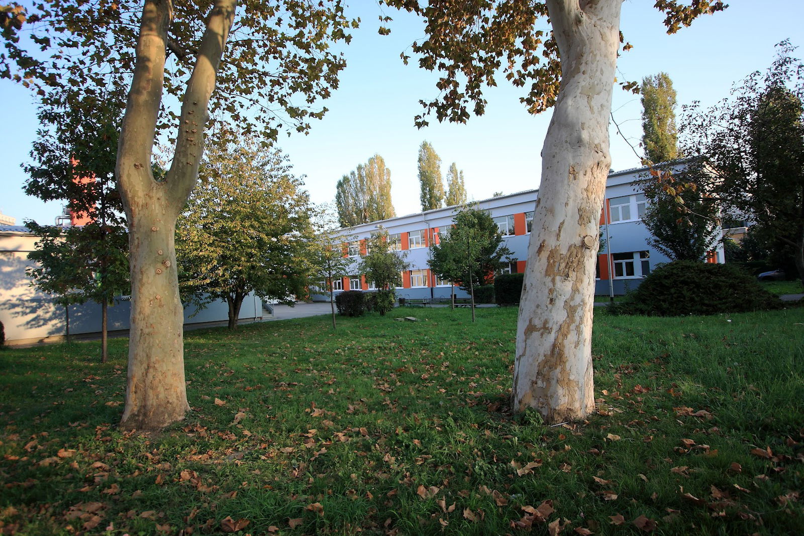 Elementary school Julija Klovića