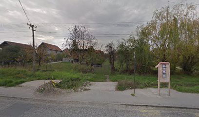 Branislava Cige Jerinića