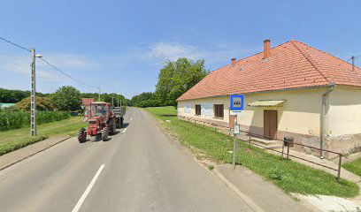 Nagycsány, Fő utca