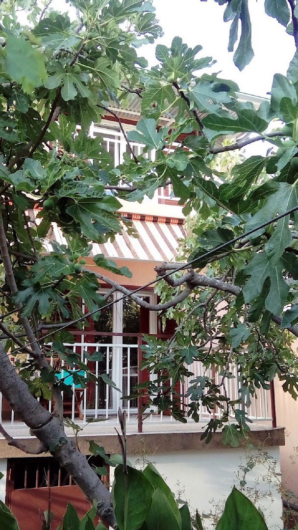 Apartment Roško Jadrija