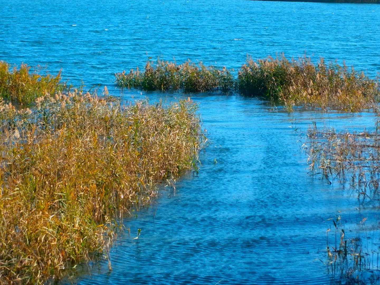 Studio Apartman - ivana